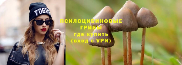 прущий лед Алзамай