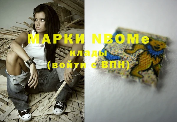 прущий лед Алзамай