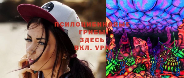 прущий лед Алзамай