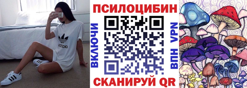 Псилоцибиновые грибы Magic Shrooms кракен ссылки Далматово